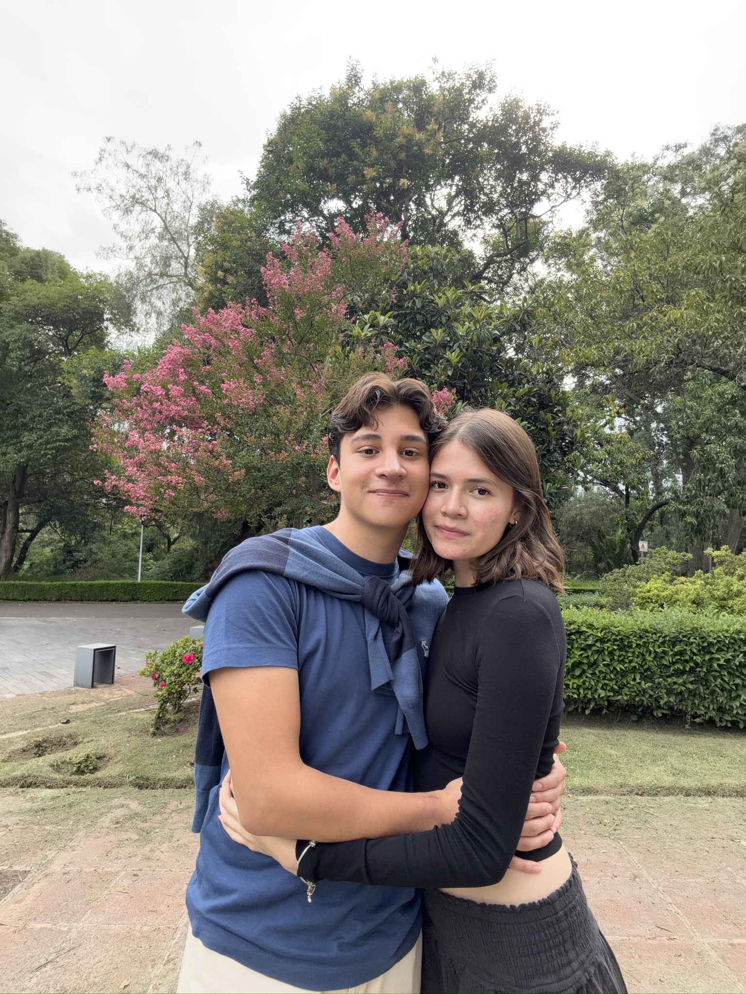 Tardes de Paz